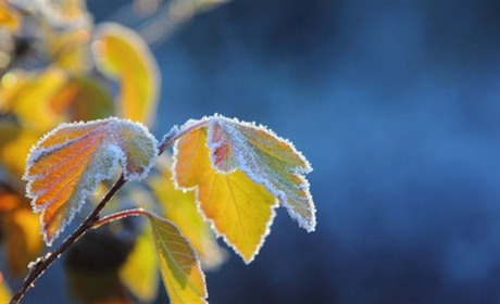 Синоптики обіцяють сніг: погода у Старокостянтинові на 16 — 23 листопада