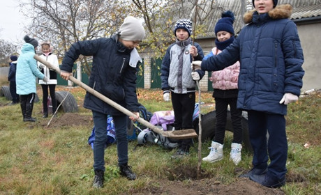 Учні школи №1 посадили горіхову алею: хто був ініціатором та навіщо вони це зробили