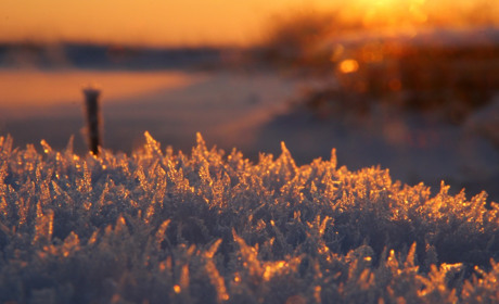 Мороз и солнце: погода на выходные