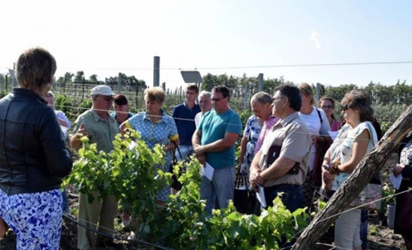Саженцы и удобрения: торетчанка выиграла и успешно реализовала грант