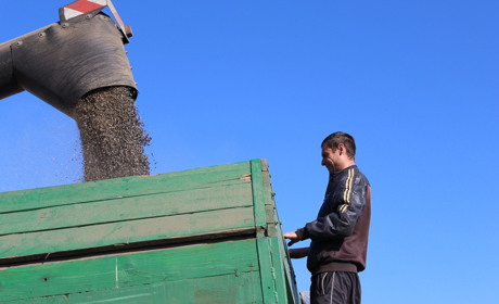 У ракурсі тижня: новини за 11-17 листопада