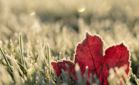 Без осадков: погода на неделю