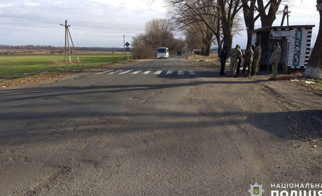 У Волноваському районі водій вантажівки збив молоду жінку