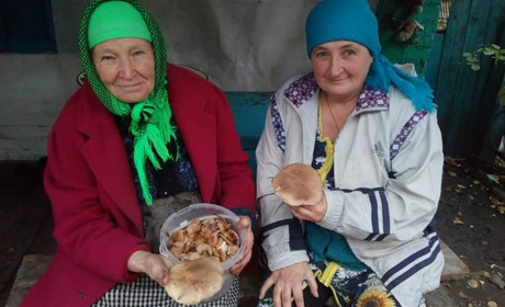 Мешканка села Розсипне за день збирає по чотири відра грибів