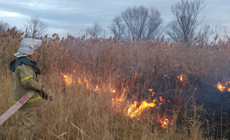 За тиждень у Троїцькому сталося п’ять пожеж та горів житловий будинок