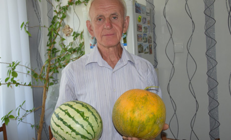 Как создать разумный огород 