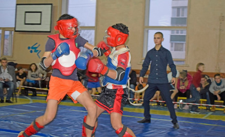 Кращі моменти першого чемпіонату Жмеринки з ушу – в одному відео