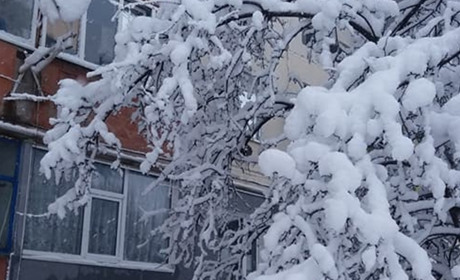 Цей день рік тому. Троїцьке замело снігом