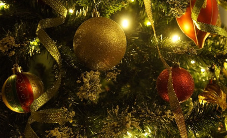 Якою буде ялинка у Старокостянтинові і скільки на неї витратять (оновлені ціни)