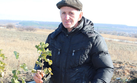 Як троїчанин вирощує органічним способом екзотичні рослини на своєму городі