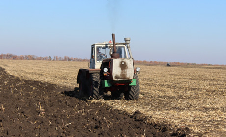 Скільки озимих культур посіяли в Троїцькому районі