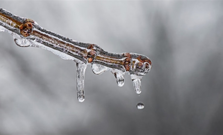 Мороз відступає? Погода у Старокостянтинові з 30 до 7 грудня