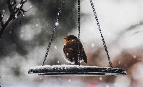 Снег, снег и еще раз снег: погода на выходные