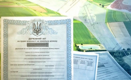 11 років жінка з Новограда не могла отримати спадщину на землю