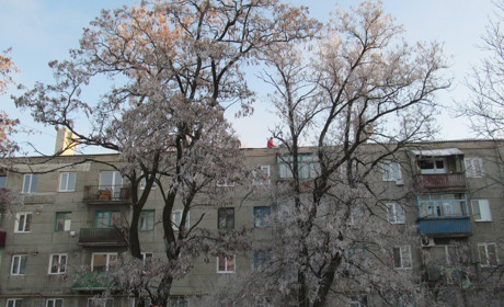 В Попасной ремонтируют крышу дома, разрушенного в результате боевых действий 