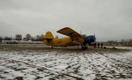 У Нижньосірогозькому районі провели вакцинацію диких тварин проти сказу
