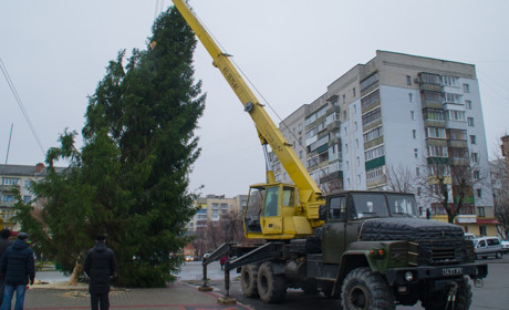 В Новограді встановили ялинку