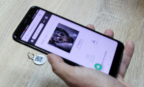 QR-код для чотирилапого: у Конотопі впроваджують реєстрацію домашніх улюбленців