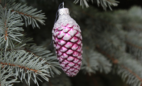 Скільки коштує новорічна ялинка у Троїцьку