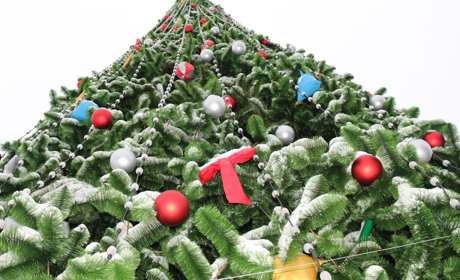 Старокостянтинівську ялинку відкрили