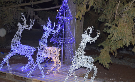 Троїцьку головну ялинку відкрили на День Святого Миколая