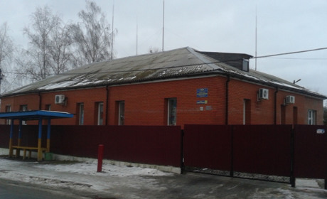 Особливі діти з Новограда, які рятують наше суспільство