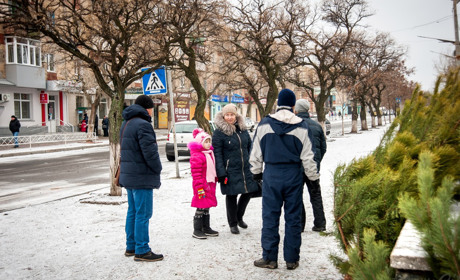Елочный базар: сколько стоит лесная красавица и откуда к нам ее везут