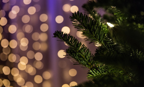 Новый год в колонках: подборка праздничных музыкальных альбомов