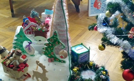 Новини міста за 24-30 грудня: покарання для винуватця  ДТП, результати аналізів загиблих тварин