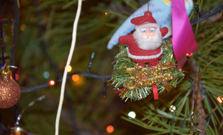 Як троїчани провели свій перший день Нового року