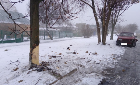 У Гуляйполі Лада врізалась у дерево
