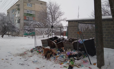 У Волновасі визначатимуть, хто вивозитиме сміття: містян запрошують у конкурсну комісію