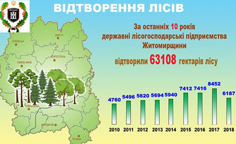 Лісівники звітують про збільшення площі лісів у Житомирській області