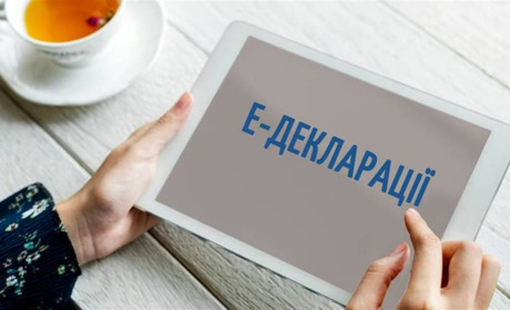 У Нижніх Сірогозах стартувала деклараційна кампанія