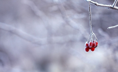 Погода на 18-25 січня: очікуємо похолодання