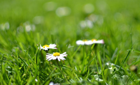 Николай Деев раскрывает секреты происхождения названия нижнесерогозского Зеленчука