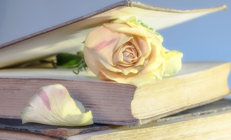 ТОП-9 українських книг, котрі вийшли у 2018 році