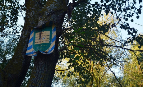 Конкурс на посаду директора нацпарку. Де дивитися трансляцію, і чому її можуть не показати