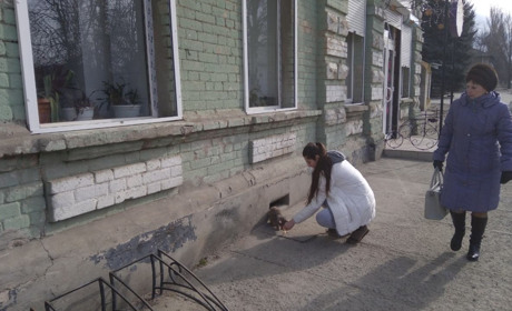 Фото дня: місцеві жителі підгодовують кошеня, що оселилося біля «Еталона»