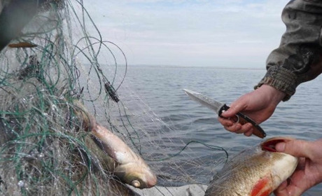 Браконьеров из Мелитополя и соседних районов СБУ лишило орудий незаконного лова рыбы 