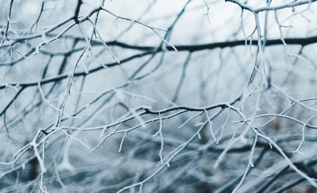 Погода на 15 — 22 лютого: вихідні без опадів і морозів