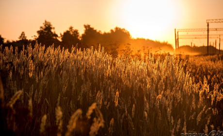 Узнаете ли вы Торецк на фото? Тест