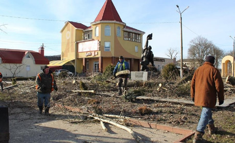 Чому у Калинівці біля парку почали різати дерева