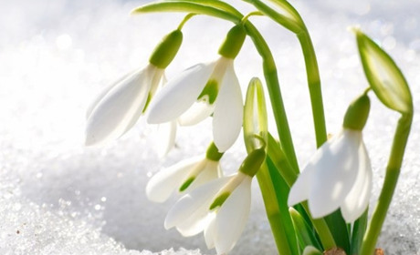 Афіша: дев'ять подій, які варто відвідати троїчанам в березні