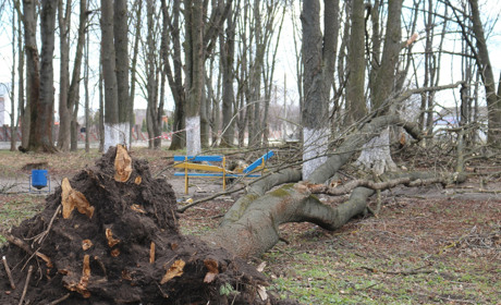 Наслідки стихії у Старокостянтинові: повалені дерева та зірвані дахи