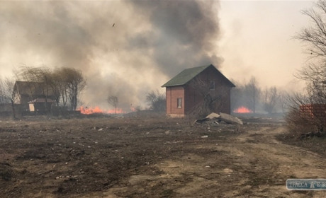 Пожежники потушили масштабний вогонь в Маяках. На це пішла майже доба 