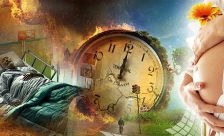 Скільки сірогозців народилося, померло і взяло шлюб за другий місяць нового року