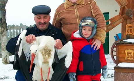 Бузько Артур тужить за своєю «половинкою» Алісою навіть після її зради (+відео)