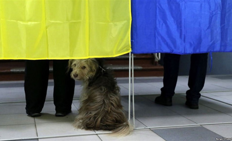 Правильно/Неправильно. Оберіть з десяти тез про вибори, що є правдою, а що - ні