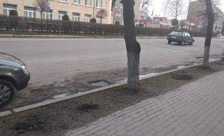 В Барі зловмисники витягли новопосаджені липи